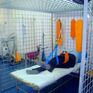 REH-MED Rehabilitacyjny Niepubliczny Zakład Opieki Zdrowotnej