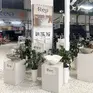 Salon Łazienek Rea