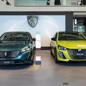 ASW Wojciula Grupa Jeep, Peugeot