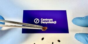 Centrum Dezynfekcji Białystok. Dezynfekcja, Dezynsekcja, Deratyzacja