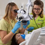 A. Cimochowska Gabinet Stomatologiczno-Ortodontyczny Eurodent