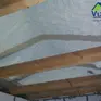 Vizo