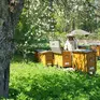 Miodowa Mydlarnia - kosmetyki naturalne