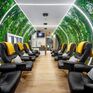 Centrum Terapii Naturalnych - NORMOBARIA Podlaska