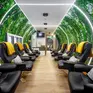 Centrum Terapii Naturalnych - NORMOBARIA Podlaska