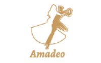 Amadeo Sala Konferencyjno-Bankietowa