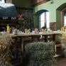 Zaścianek Podlaski, Wesela, Przyjęcia, Imprezy