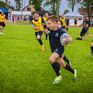 Klub sportowy Niedźwiedzie Białystok