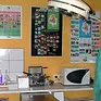 Medicor Usługi weterynaryjne
