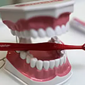Dentine Sp. z O. O