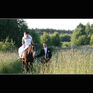 Andrzej Krawczyński Studio Video-Film
