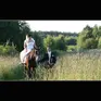 Andrzej Krawczyński Studio Video-Film