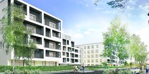 Rogowski Development