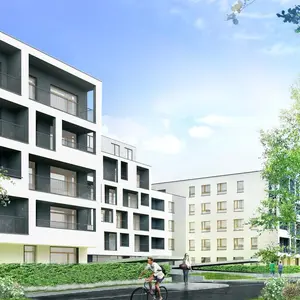 Rogowski Development