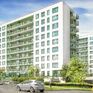 Rogowski Development