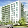 Rogowski Development