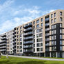 Rogowski Development