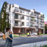 Rogowski Development