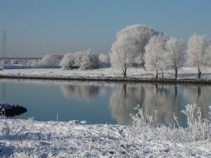 Wzrasta poziom wody w rzekach na Podlasiu