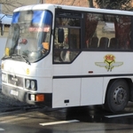 Kierowca autobusu zaczął pracę za kierownicą po pijanemu