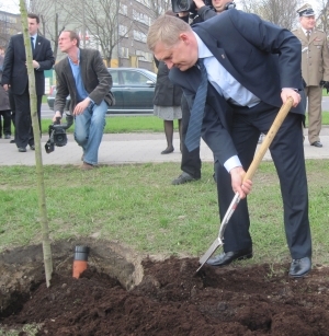 Zasadzono dęby upamiętniające ofiary Katynia i Smoleńska