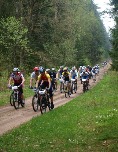 Dzika puszcza. Maraton rowerowy w Michałowie