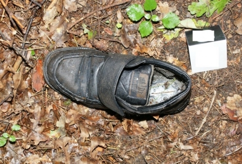 W hajnowskim lesie znaleziono ludzkie szczątki