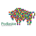 Kolorowy, pikselowy żubr został nowym logo Podlasia