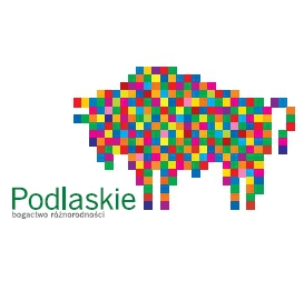 Pikselowy żubr: Rusza kampania promocyjna logo Podlasia