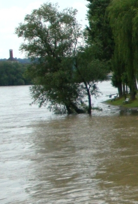  Miasto Białystok wesprze Bogatynię