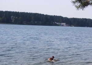 Rodzinna tragedia na dzikiej plaży na Bugu