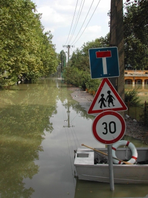 Podlascy leśnicy pomagają powodzianom