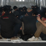 W Podlaskiem zatrzymano 30 nielegalnych imigrantów z Wietnamu