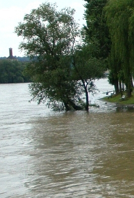Białystok przekaże pieniądze dla dotkniętej powodzią Bogatyni