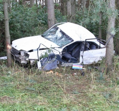 Auto uderzyło w drzewo. Kierowca w ciężkim stanie trafił do szpitala