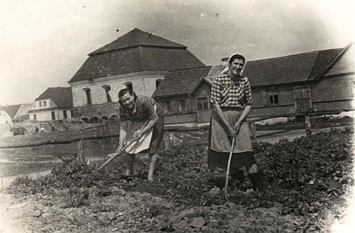 Kulturalna niedziela w Tykocinie