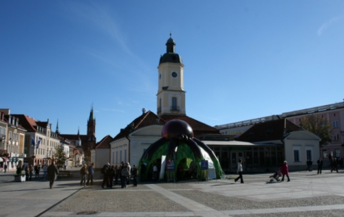 Wielki kleszcz pod ratuszem