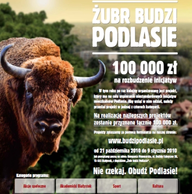 Żubr czeka na projekty budzące Podlasie