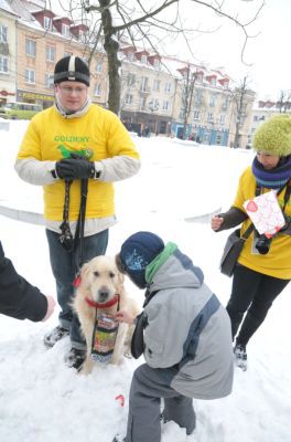 Zostań wolontariuszem WOŚP