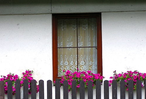 Podlaska Wieś Tematyczna. Wycieczka szkoleniowa