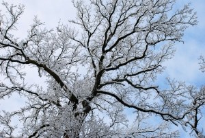 Na ul. Zamenhofa o mały włos nie zamarzł mężczyzna 