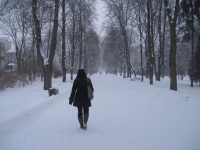 Śnieżyca na Podlasiu