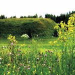 Natura 2000. Murawy w Haćkach mają plan ochrony