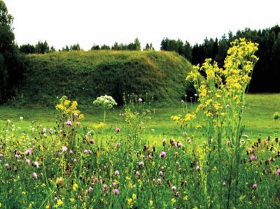 Natura 2000. Murawy w Haćkach mają plan ochrony