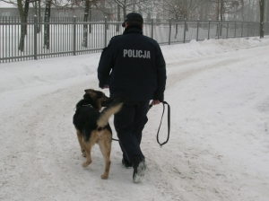 Spowodował kolizję i uciekł z miejsca zdarzenia