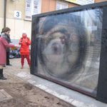 Kinooko Czerniawskiej hołdem dla Wiertowa