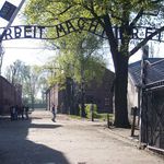  Obchody Międzynarodowego Dnia  Pamięci o Ofiarach Holokaustu