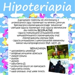 Hipoterapia. Zapisy na bezpłatne zajęcia