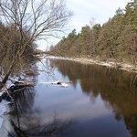 Augustów: w kanale znaleziono zwłoki kobiety i jej dwóch córek