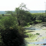 Przystąpiono do prac nad planami ochrony terenów Natura 2000